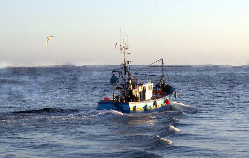 Soupe au saumon bio Phare d’Eckmühl : du réconfort plein l’assiette