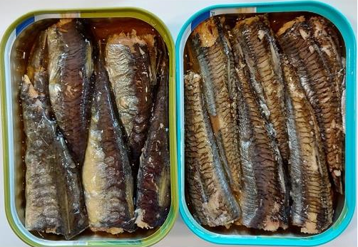 Anchois ou sardine, quelles différences ? - Phare d'Eckmühl